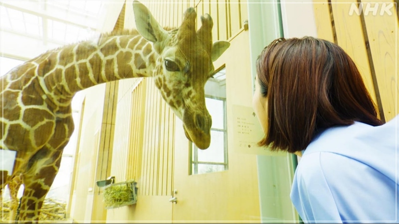 副島萌生さん「キュン」とした存在