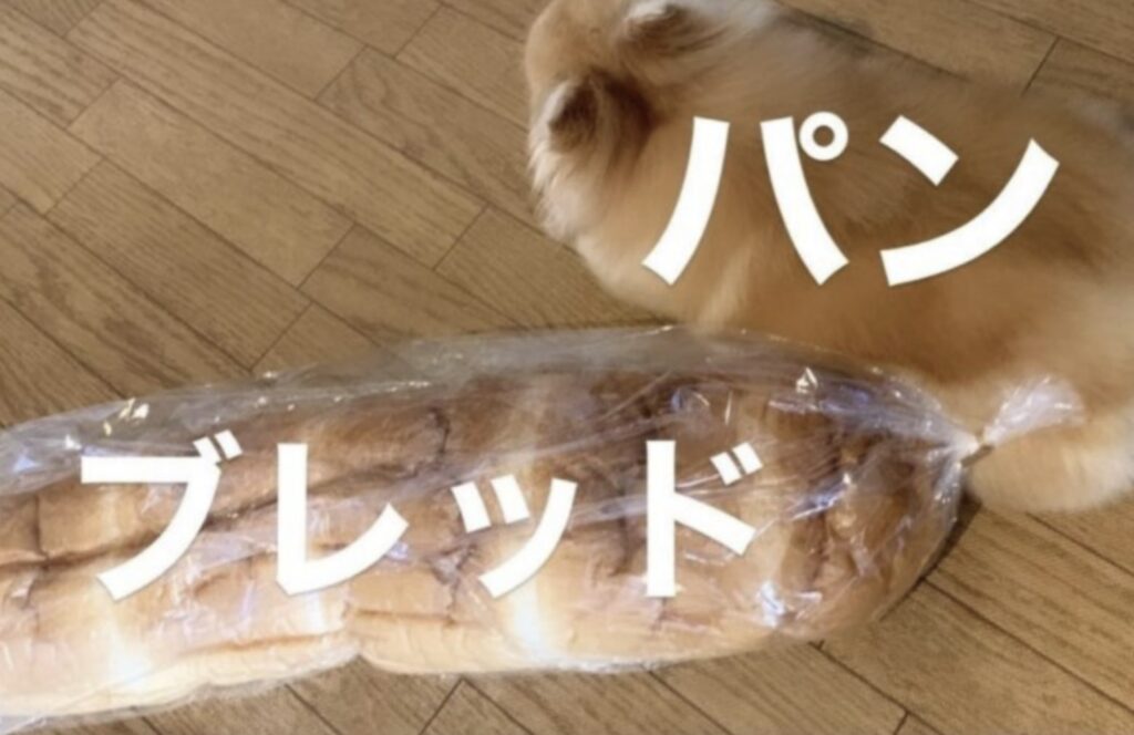 佐藤めぐみさん匂わせ②