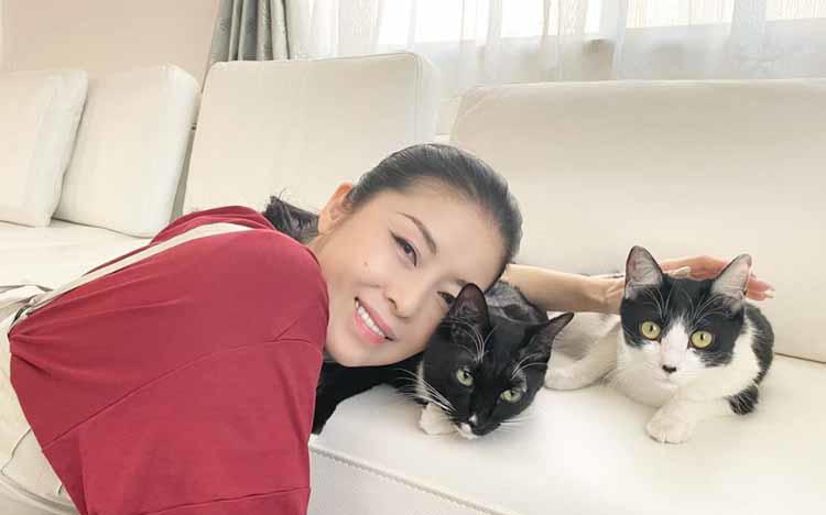 藤あや子の愛猫