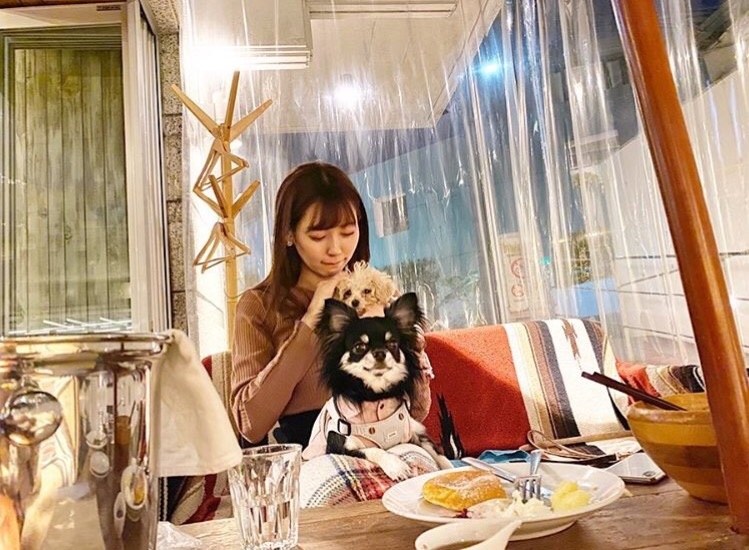 渡辺美優紀と愛犬